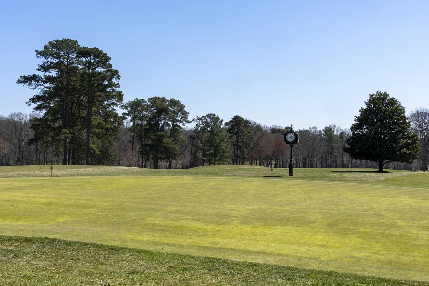Golf green, freestanding clock and mature pine trees in Chartwell